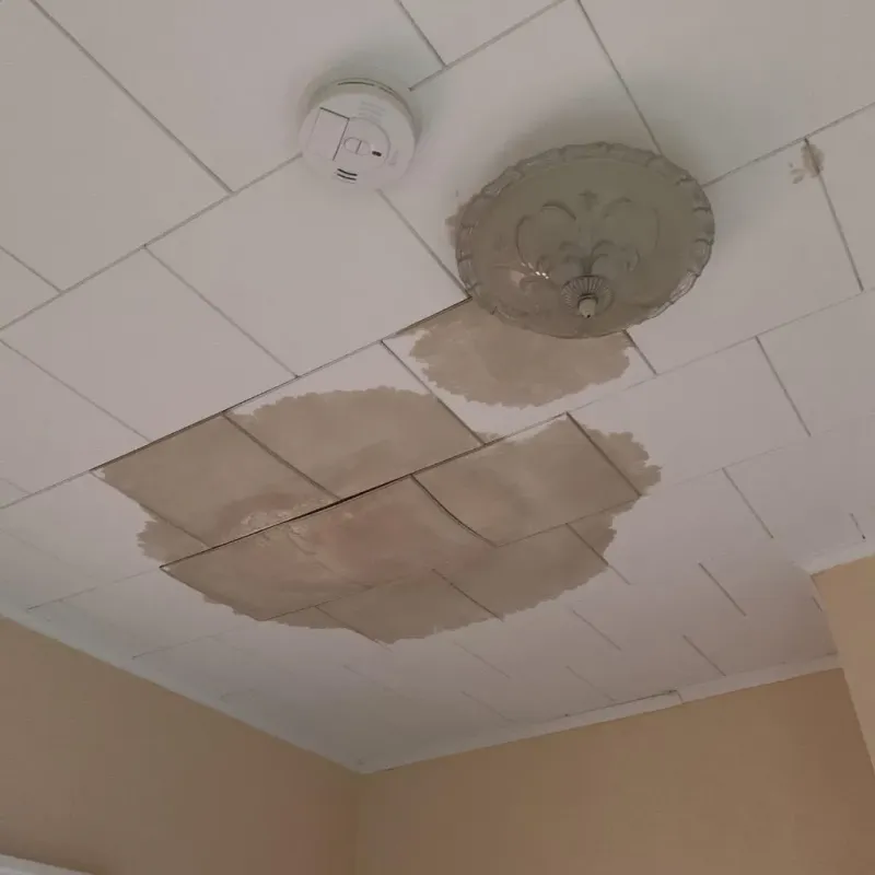 Ceiling Water Damage Repair in Crooks, SD