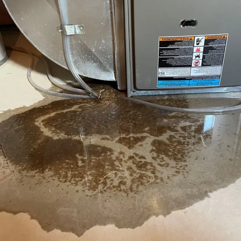 Pipe Burst and Leak Restoration in Crooks, SD
